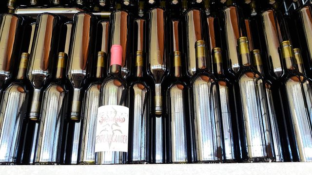 Dégustation de vins au Biolandhof Rinklin