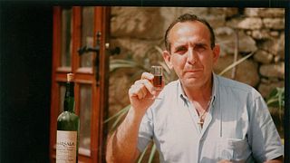 Cata de vinos y visita guiada en Cantine Montalto