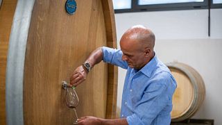 Vinprovning och rundtur på Alemat