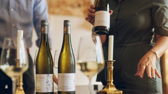 Degustazione di vini e tour presso Weingut August Eser