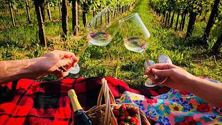 Dégustation de vins et visite de la cave Jagunić