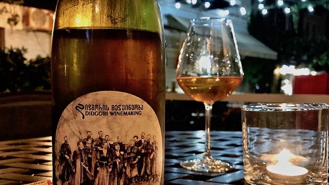 Degustação e Tour na Vinificação Didgori