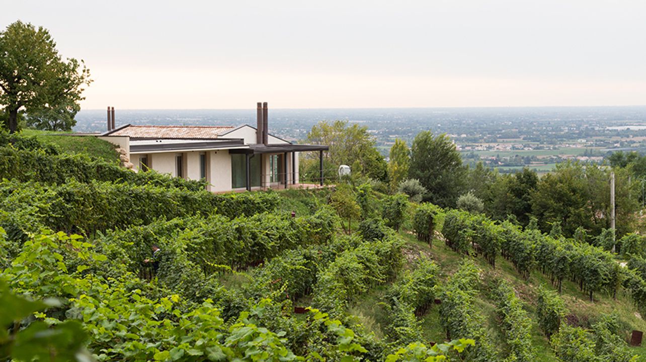 Asolo Manor Società Agricola