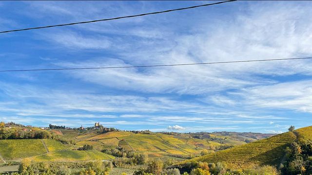 Wine tasting and tour at Azienda Agricola Oreste Stefano