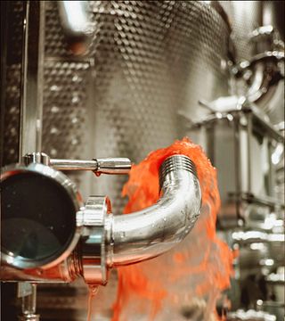 Explore 14 Volcanic Tuscan Wines on an Expert Tasting
