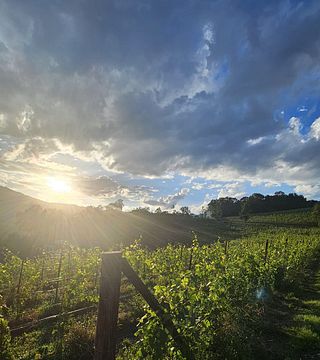 Degustazione di vini alla Cantina Dellerba con vista sul Monviso