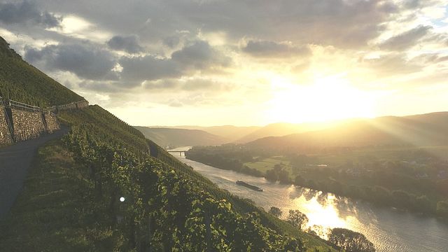 Vinprovning och rundtur på Weingut Martin Conrad