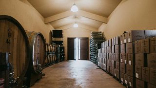 Dégustation de vins et visite chez Fratelli Calorio