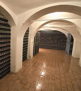 Vinprovning och rundtur på Istenič