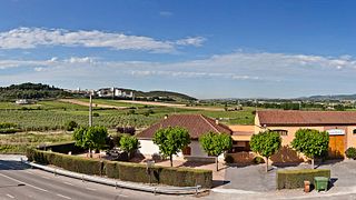 Degustazione di vini e tour alle Grotte Planas Albareda