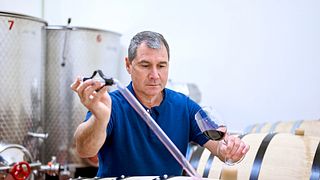 Degustação de 5 vinhos com comida local na vinícola Dragoshinov
