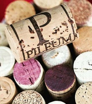 Pileum Winery