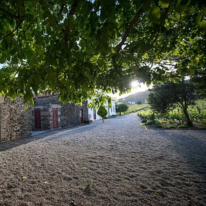 Morgadio da Calçada Douro Wine & Hotel
