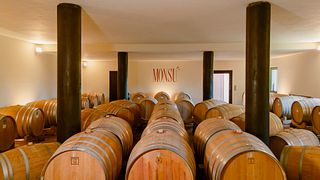 Degustazione di vini "Gran Monsú"