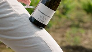 Loire Valley Vine to Wine Tour & Tasting