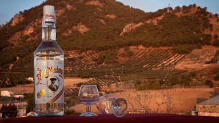 Degustazione di vini e tour alla Destilería Museo De Anís Machaquito