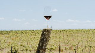 Quinta do Sampayo