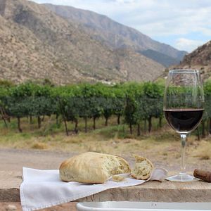 Un'esperienza di vacanza al Chañarmuyo Wine Lodge
