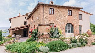 Tuscan Organic Wine & Olive Oil Tasting Tour