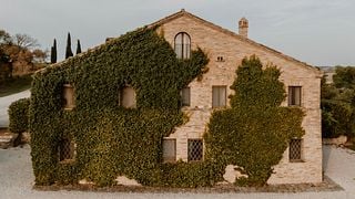 Marche Wine & Vineyard Discovery at Tenuta di Tavignano