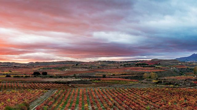 Beliebte Weinprobe bei Bodegas Tritium