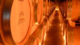 Bordeaux RENIVS: History & Barrel Tasting Tour