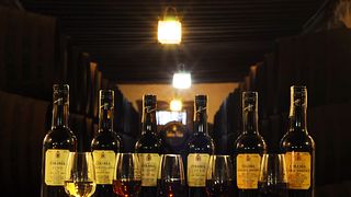 Bodega & Sherry tasting