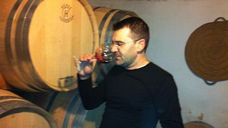 Tour della cantina e degustazione di vini al Sexto Elemento