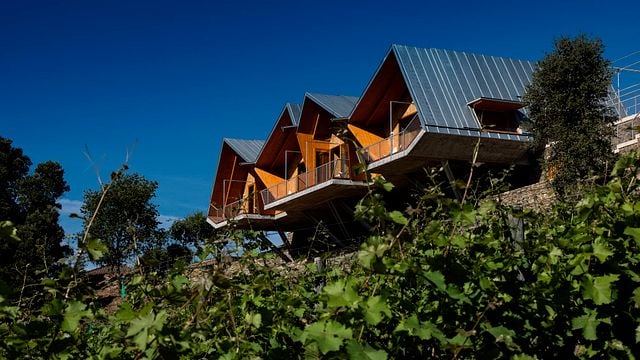 Hidden Secrets Winery Tour & Wine Tasting