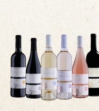 Tour di base| Degustazione di vini e tour presso l'azienda vinicola Gush Etzion