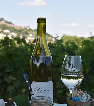 Vincent Grall Vigneron