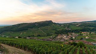 Domaine Gaillard