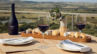 Degustação de vinhos premium e tour na Viña Edén