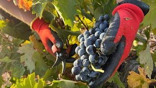 Weinprobe und Führung bei Bodegas Nabal