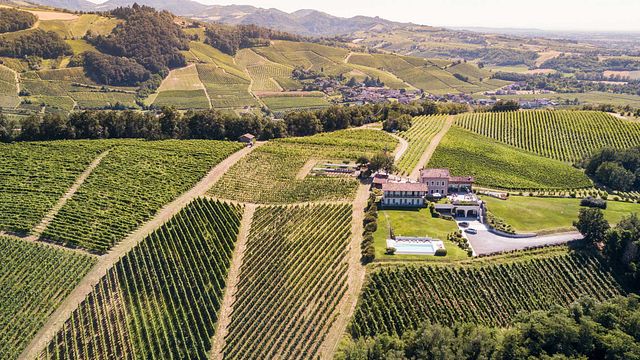 Dégustation et visite de vins haut de gamme au Prime Alture Winery & Resort