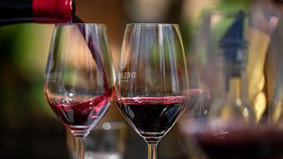 Coastal Region Wine & Cellar Tour at Delheim