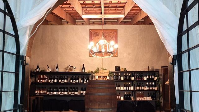 Degustazione di vini in cantina presso la tenuta Karikari