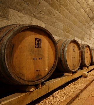 Upper Hungary Wine Journey: Tokaj Tasting & Tour