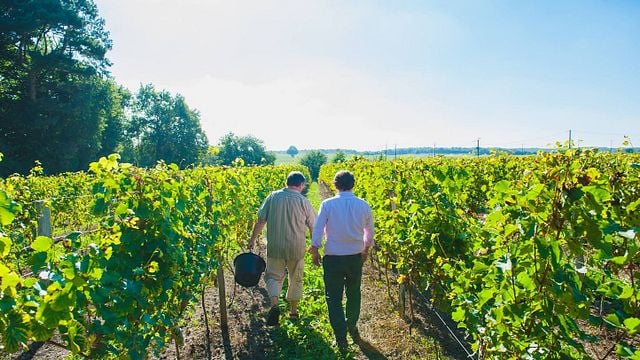 Weinprobe im Château du Petit Thouars
