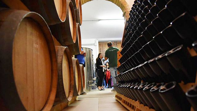 Azienda Agricola La Vinarte