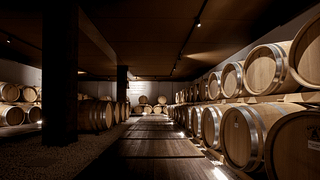 De Garda a Valpolicella: Visita guiada, cata de vinos DOC y DOCG en Paolo Cottini.