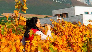 Glas-in-Hand-Tour bei den Lozano-Weingütern
