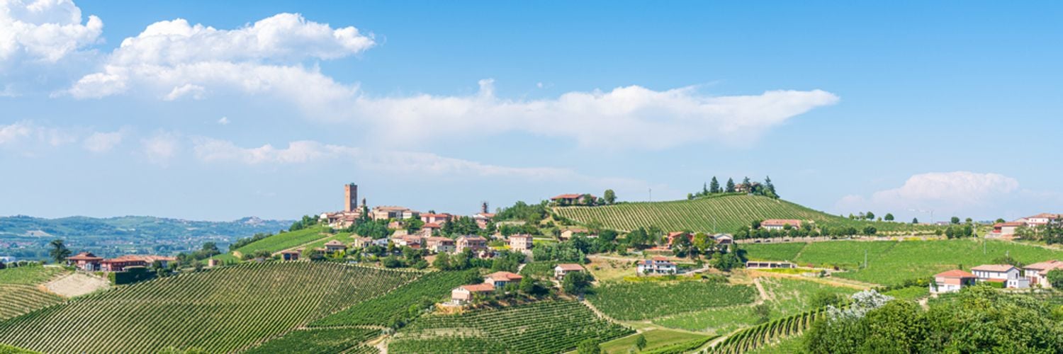 Vineyards of PIedmont-ROero
