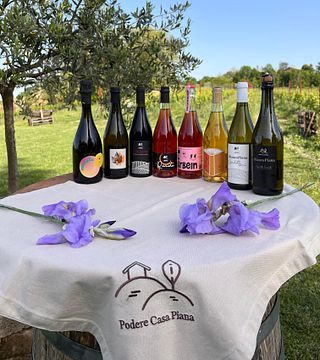 Monteveglio wine experience at Podere Casa Piana in Bologna's countryside