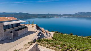 Dalmatia's Terra Madre Vineyard & Wine Escape