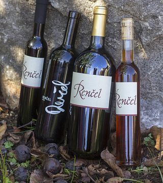 Cata de vinos y visita guiada a la bodega boutique Renčel