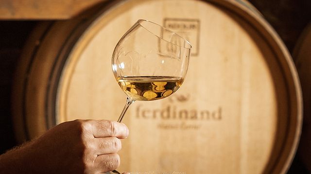 Premium vinprovning på Ferdinand Winery