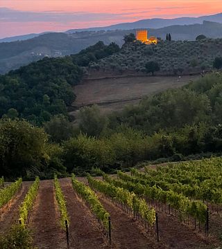 Tenuta di Saragano