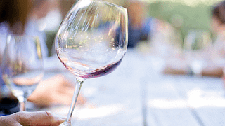 Dégustation de vins et visite ensemble à la société agricole Mulini di Segalari snc