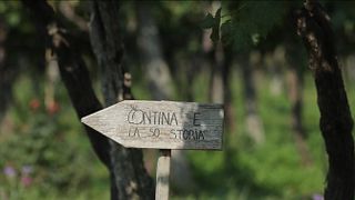 Azienda Agricola Fugolo Gianluca